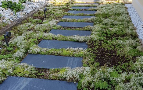 camino pasos jardin, pasos filita gris naturpiedra