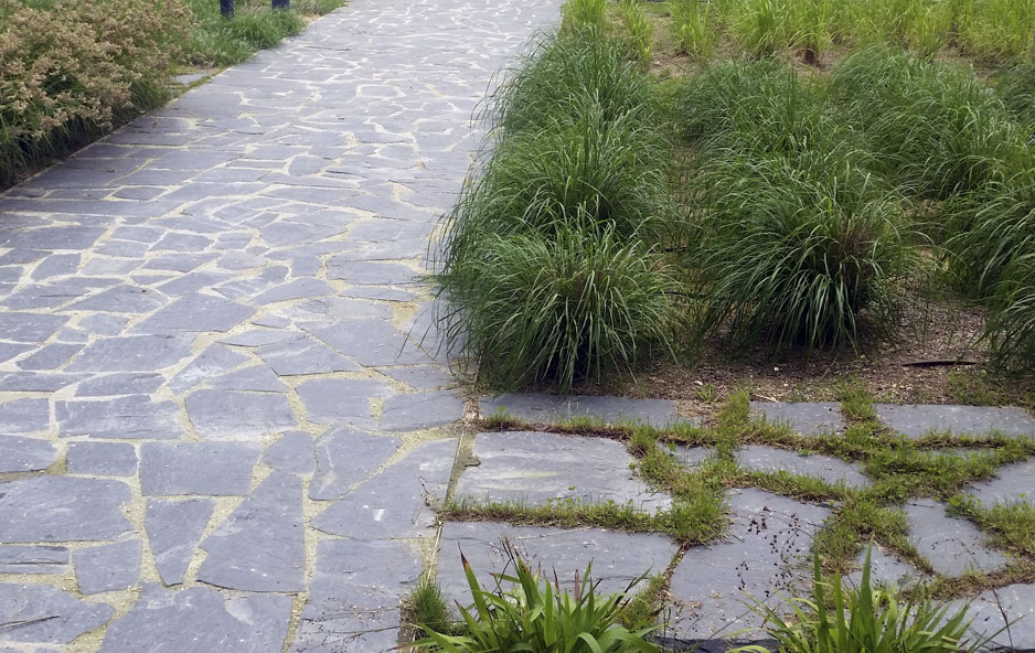 planchon filita naturpiedra colocado solado exterior como camino pizarra para jardin