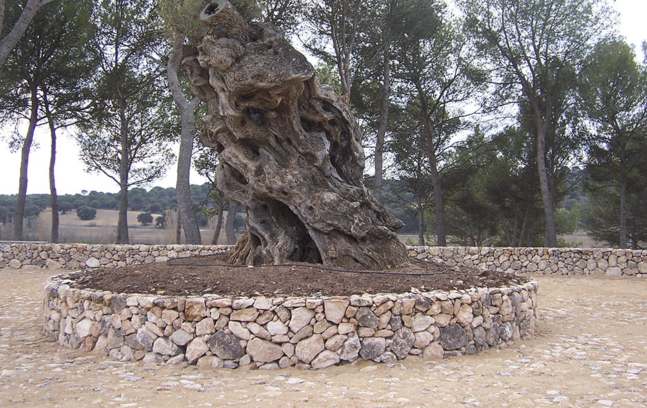 jardineras de piedra para decorar jardines y paisajes