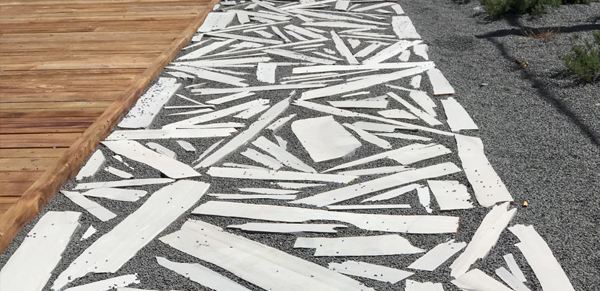 arte, paisaje y filita de bernardos