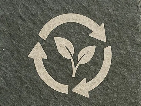 CICLO DE LA VIDA NATURPIEDRA