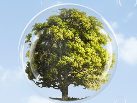 BLOG DATOS CO2 NATURPIEDRA4