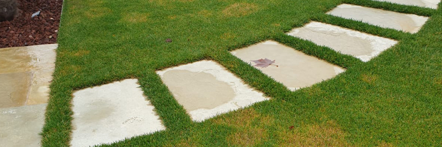 Paso sabana naturpiedra