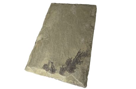 PIZARRA CUBIERTA OUTLET PIZARRA CUBIERTA OUTLET