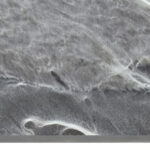 baldosa filita naturpiedra cordillera