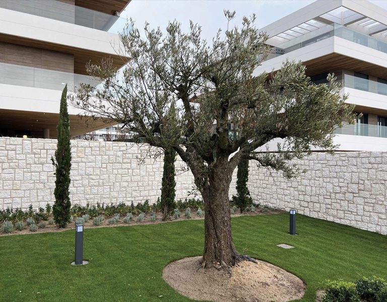 Cerramientos mamposteria Caliza Naturpiedra Fósil Concertada