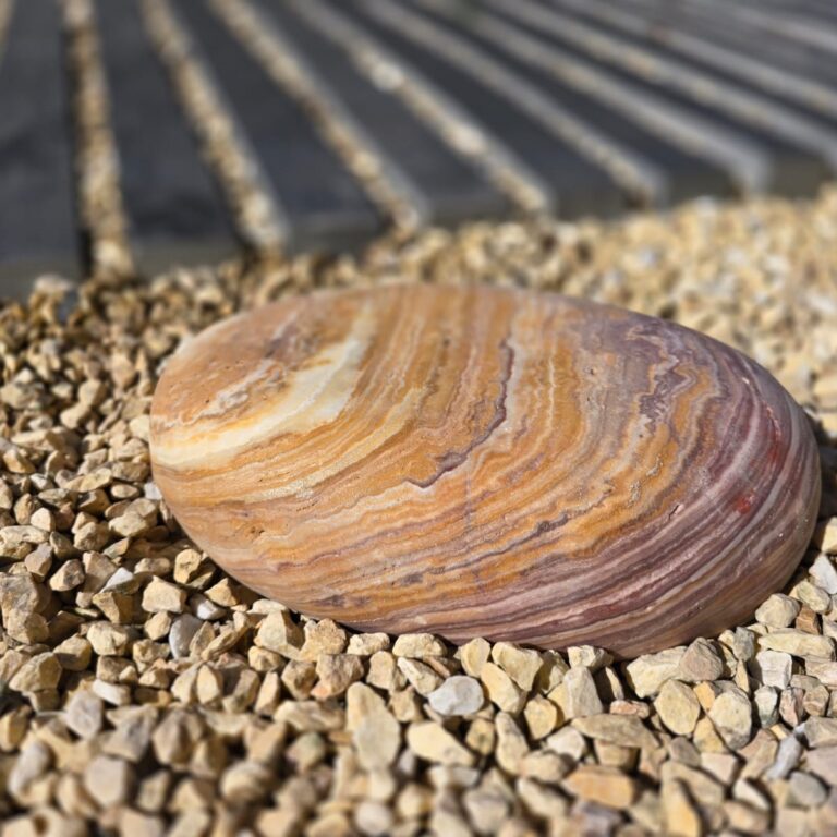 Decoracion Jardín Maxi Pebble